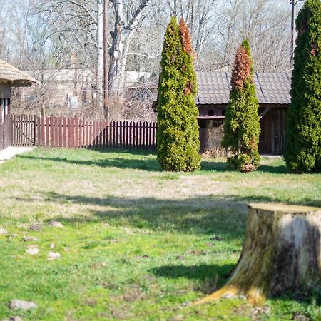 Villa Flora Кишкунмайша Екстериор снимка