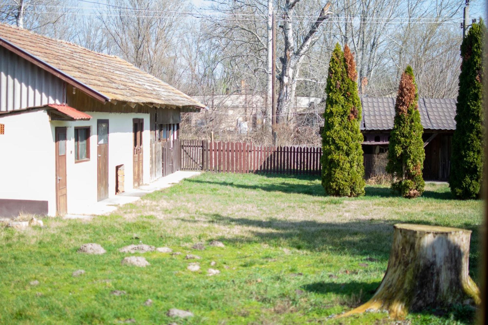 Villa Flora Кишкунмайша Екстериор снимка